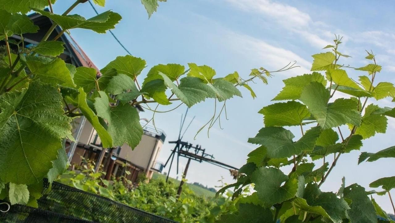 Zweytick Gaestezimmer Weingut Ratsch an der Weinstraße Exteriör bild
