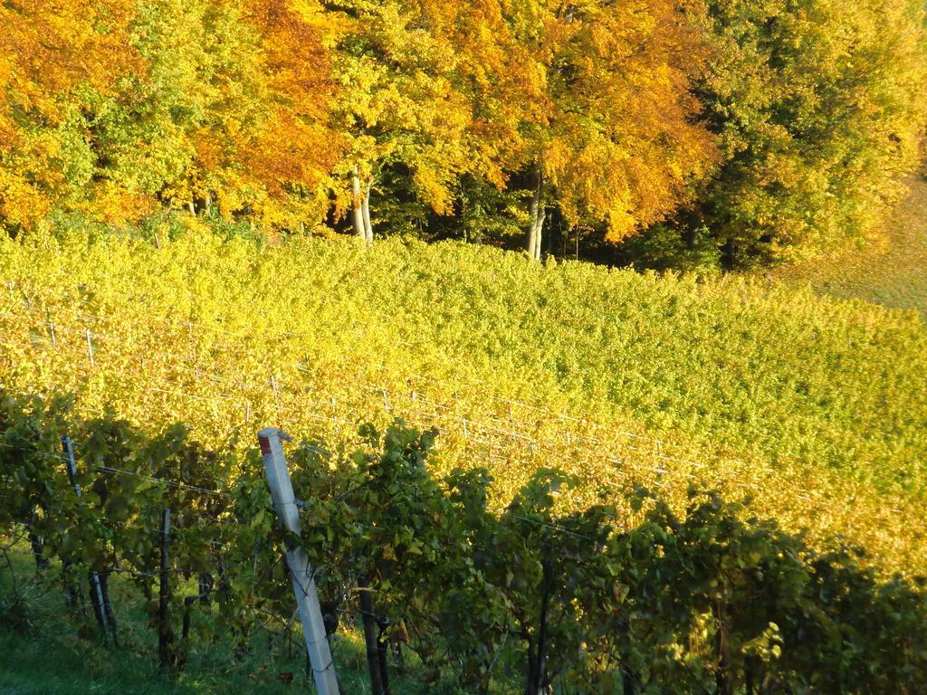 Zweytick Gaestezimmer Weingut Ratsch an der Weinstraße Exteriör bild