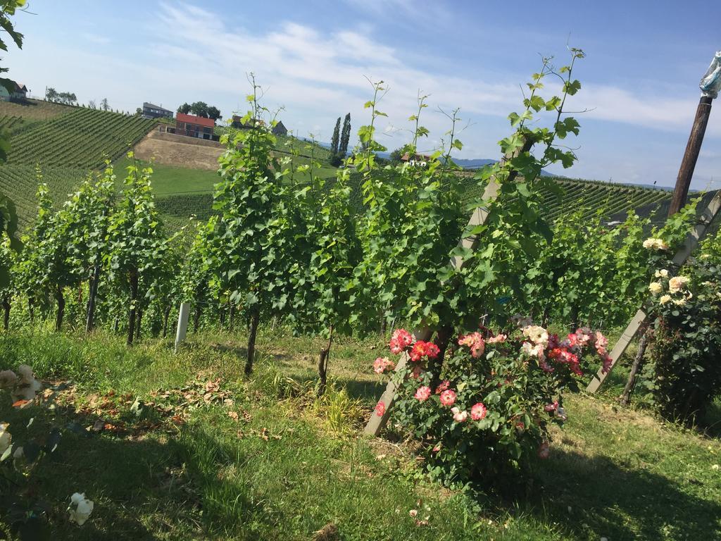 Zweytick Gaestezimmer Weingut Ratsch an der Weinstraße Exteriör bild