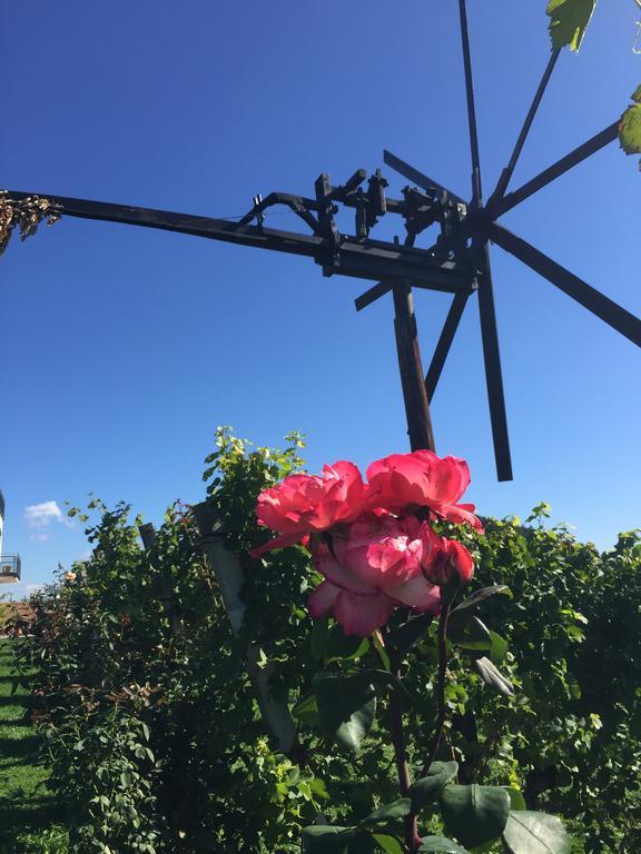 Zweytick Gaestezimmer Weingut Ratsch an der Weinstraße Exteriör bild